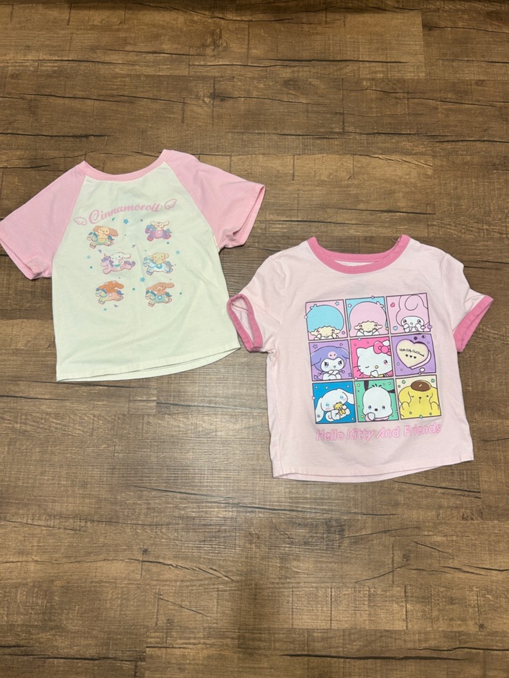 Hello Kitty & Cinnamoroll Pink Graphic Tee Set